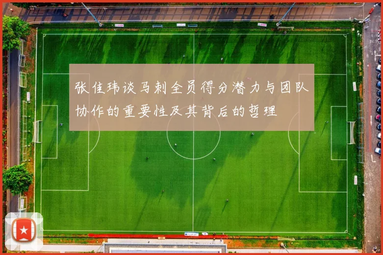 张佳玮谈马刺全员得分潜力与团队协作的重要性及其背后的哲理