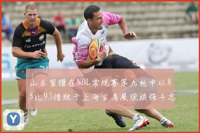 山东蜜獾在NBL常规赛第九轮中以85比93惜败于上海玄鸟展现顽强斗志