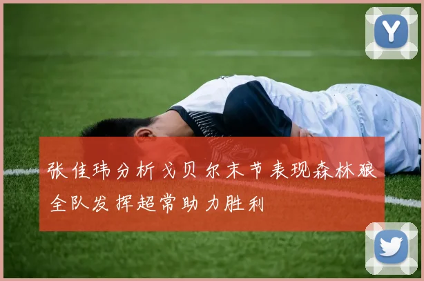 张佳玮分析戈贝尔末节表现森林狼全队发挥超常助力胜利