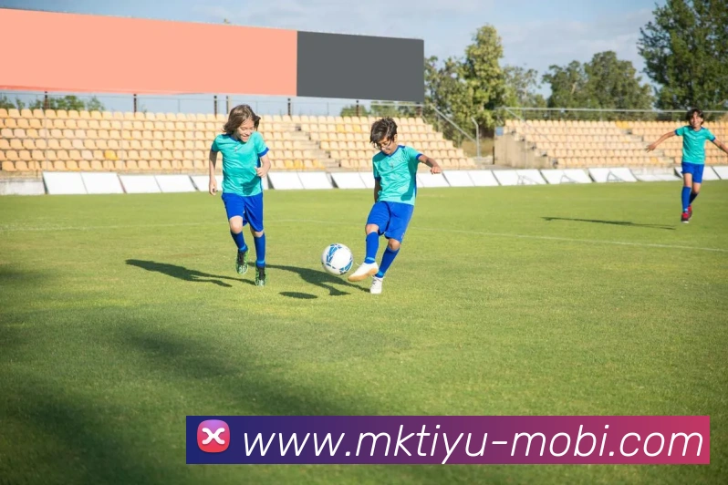 MK体育品牌故事